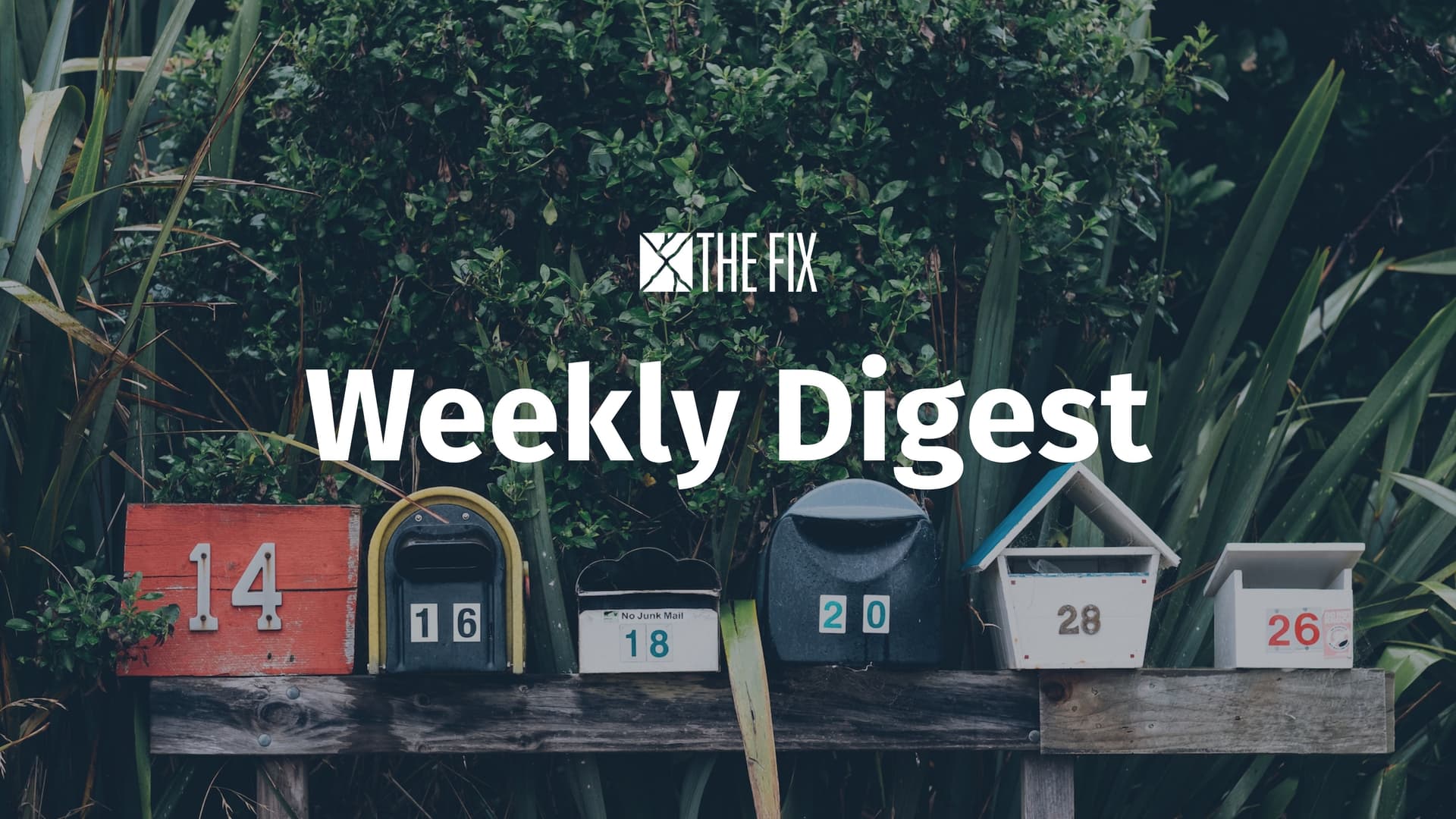 Weekly Digest: Business Models