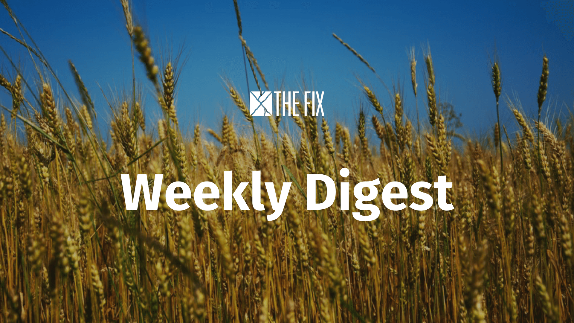 Weekly Digest: News from Ukraine, New Ofcom Chair
