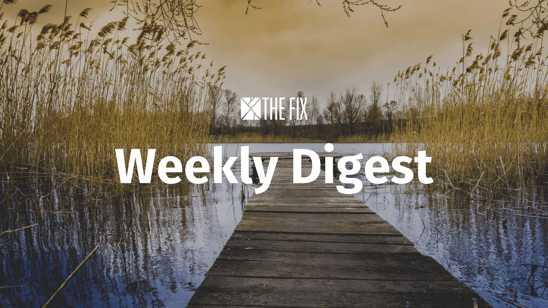 Weekly Digest: News from Ukraine, Channel 4 Privatisation