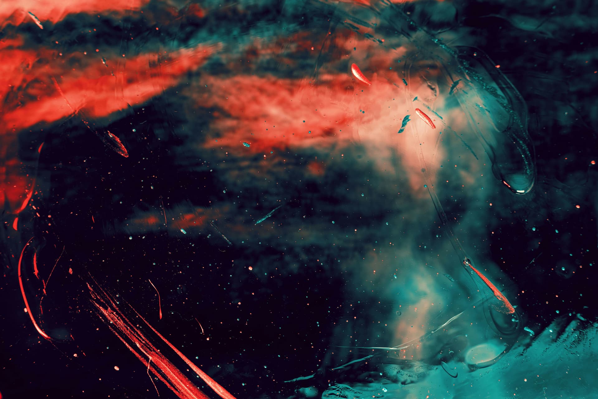 Further layoffs, new AI products – weekly news digest